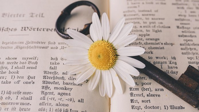 kwiat położony na książce